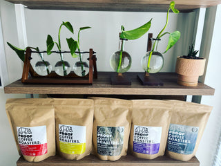 Our Exceptional Beans